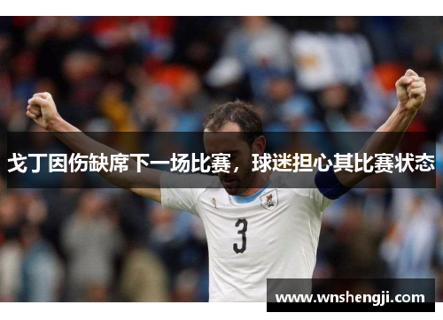 戈丁因伤缺席下一场比赛，球迷担心其比赛状态