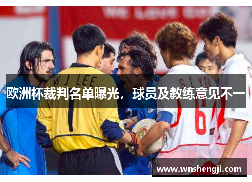 欧洲杯裁判名单曝光，球员及教练意见不一