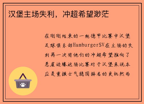 汉堡主场失利，冲超希望渺茫