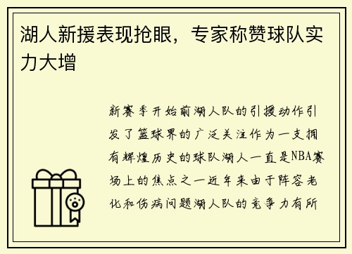 湖人新援表现抢眼，专家称赞球队实力大增