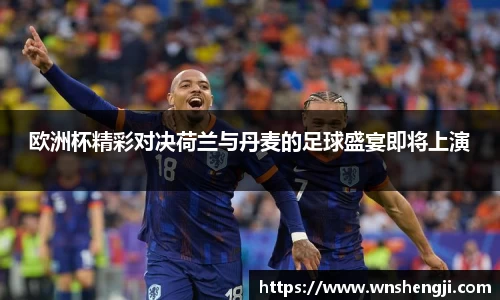 悟空体育欧洲杯精彩对决荷兰与丹麦的足球盛宴即将上演